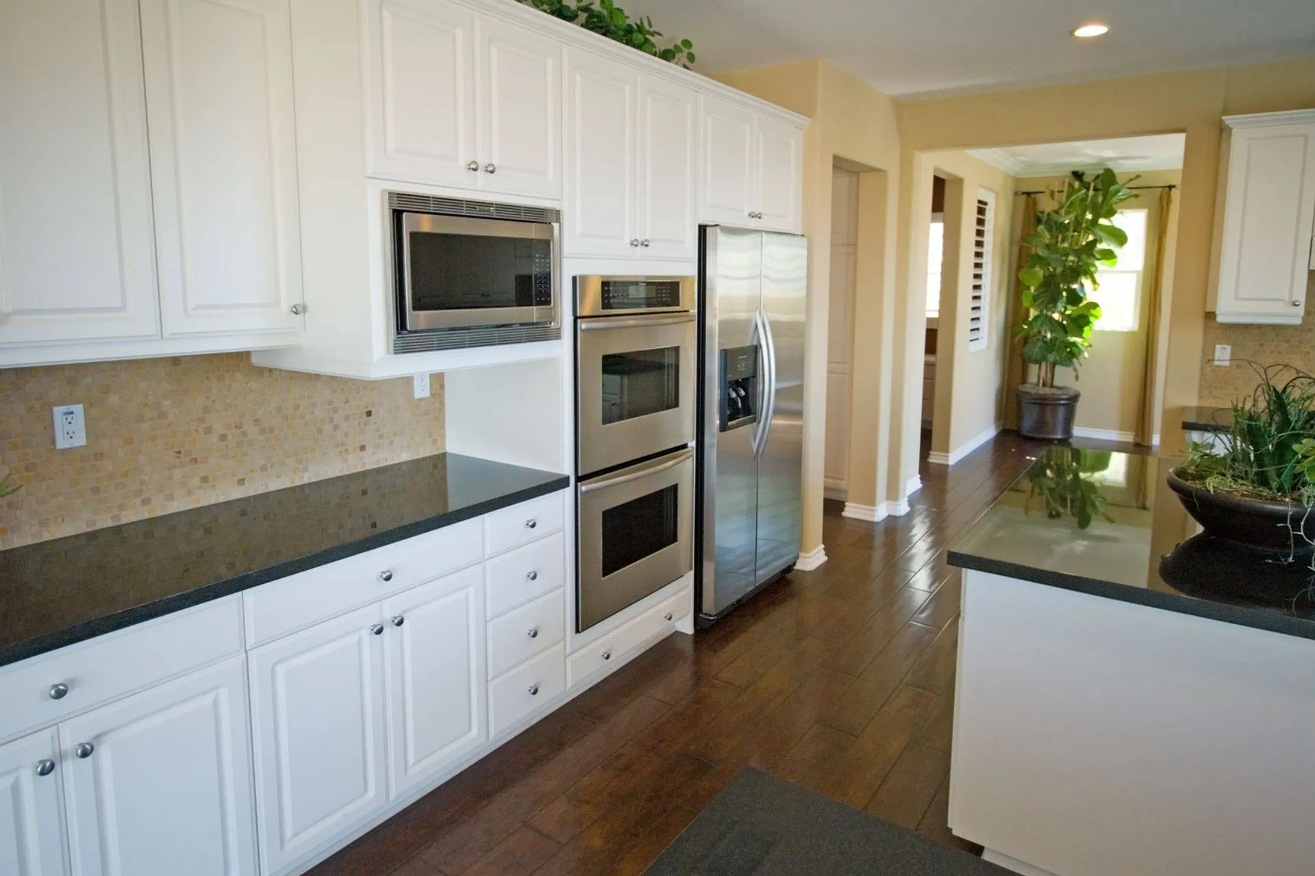 Spotlessly clean kitchen appliances
